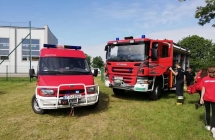 61990483_871142693251741_4471309345979629568_n